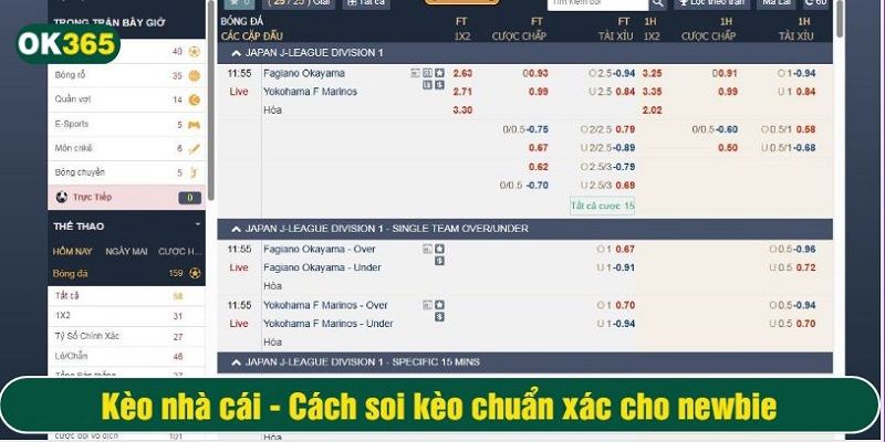 Tỷ lệ cược tại OK365